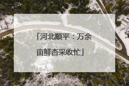 河北顺平：万余亩鲜杏采收忙