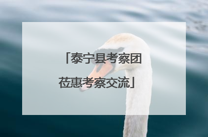 泰宁县考察团莅惠考察交流