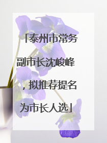 泰州市常务副市长沈峻峰，拟推荐提名为市长人选