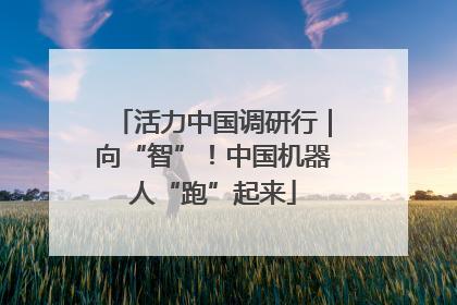 活力中国调研行｜向“智”！中国机器人“跑”起来