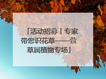活动招募丨专家带您识花草——萱草属植物专场