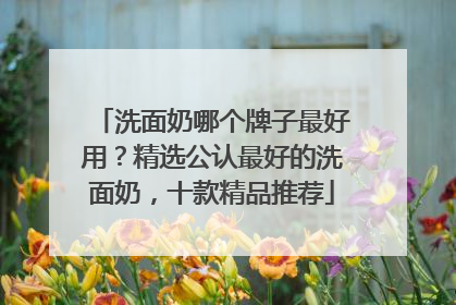 洗面奶哪个牌子最好用？精选公认最好的洗面奶，十款精品推荐