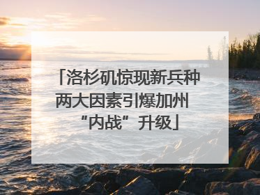 洛杉矶惊现新兵种 两大因素引爆加州“内战”升级