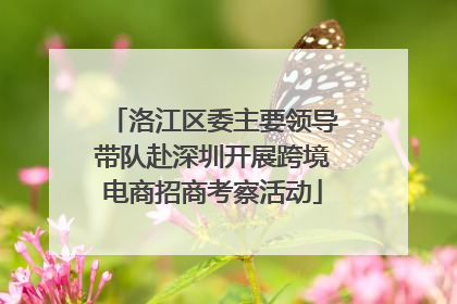 洛江区委主要领导带队赴深圳开展跨境电商招商考察活动