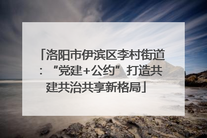 洛阳市伊滨区李村街道：“党建+公约”打造共建共治共享新格局