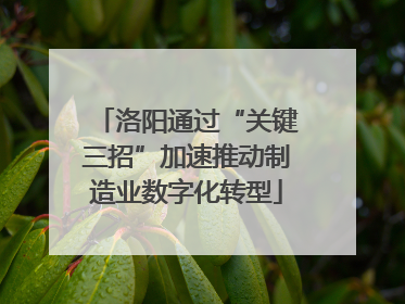 洛阳通过“关键三招”加速推动制造业数字化转型