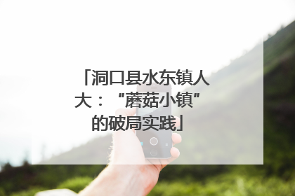 洞口县水东镇人大：“蘑菇小镇”的破局实践