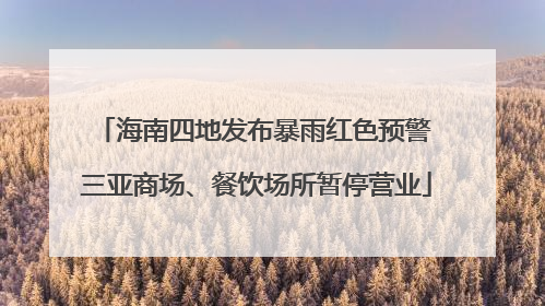 海南四地发布暴雨红色预警 三亚商场、餐饮场所暂停营业