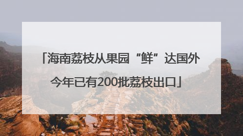 海南荔枝从果园“鲜”达国外 今年已有200批荔枝出口