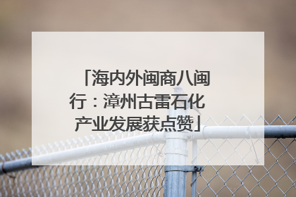 海内外闽商八闽行：漳州古雷石化产业发展获点赞