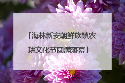 海林新安朝鲜族镇农耕文化节圆满落幕
