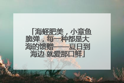 海蛏肥美，小章鱼脆弹，每一种都是大海的馈赠——夏日到海边 就爱那口鲜