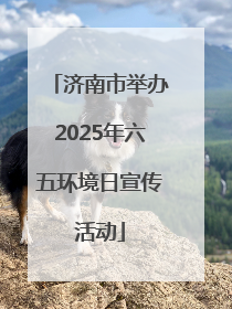 济南市举办2025年六五环境日宣传活动