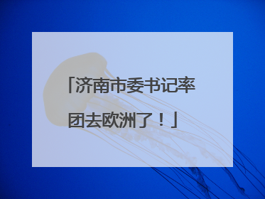 济南市委书记率团去欧洲了！