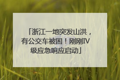 浙江一地突发山洪，有公交车被困！刚刚Ⅳ级应急响应启动