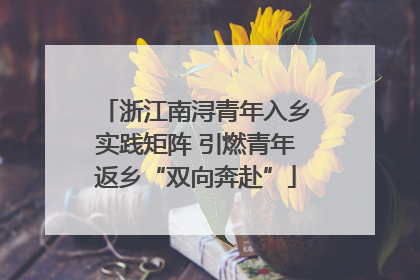 浙江南浔青年入乡实践矩阵 引燃青年返乡“双向奔赴”