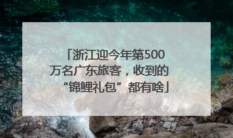 浙江迎今年第500万名广东旅客，收到的“锦鲤礼包”都有啥