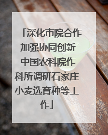 深化市院合作 加强协同创新 中国农科院作科所调研石家庄小麦选育种等工作