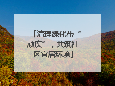 清理绿化带“顽疾”，共筑社区宜居环境