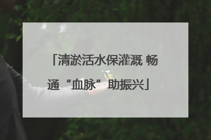 清淤活水保灌溉 畅通“血脉”助振兴