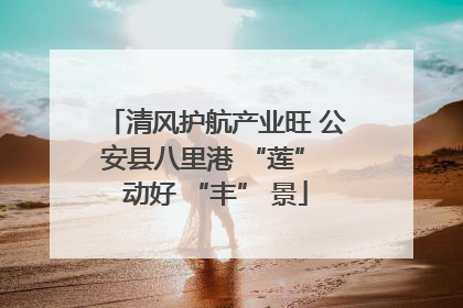 清风护航产业旺 公安县八里港 “莲” 动好 “丰” 景