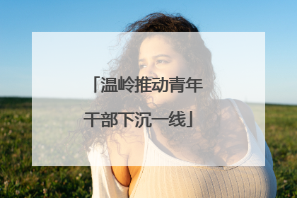 温岭推动青年干部下沉一线