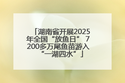 湖南省开展2025年全国“放鱼日” 7200多万尾鱼苗游入“一湖四水”
