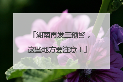 湖南再发三预警，这些地方要注意！