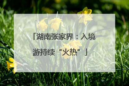 湖南张家界：入境游持续“火热”