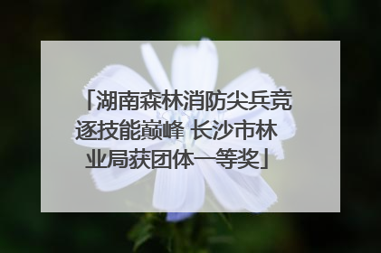 湖南森林消防尖兵竞逐技能巅峰 长沙市林业局获团体一等奖