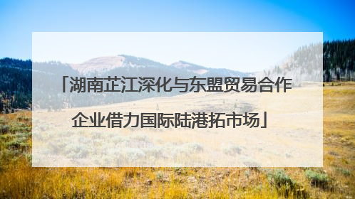 湖南芷江深化与东盟贸易合作 企业借力国际陆港拓市场