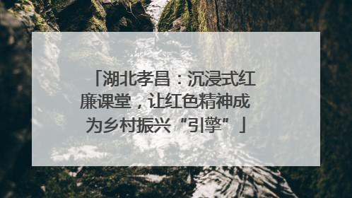 湖北孝昌：沉浸式红廉课堂，让红色精神成为乡村振兴“引擎”