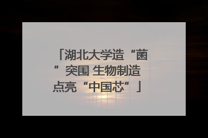 湖北大学造“菌”突围 生物制造点亮“中国芯”
