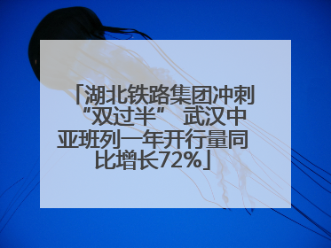 湖北铁路集团冲刺“双过半” 武汉中亚班列一年开行量同比增长72%
