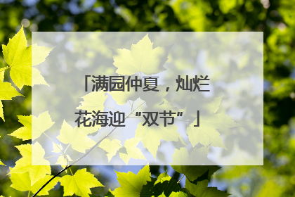 满园仲夏，灿烂花海迎“双节”