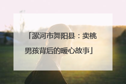漯河市舞阳县：卖桃男孩背后的暖心故事
