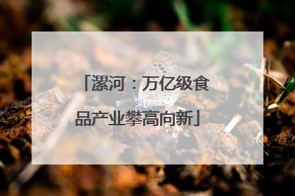 漯河：万亿级食品产业攀高向新