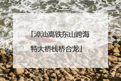 漳汕高铁东山跨海特大桥栈桥合龙