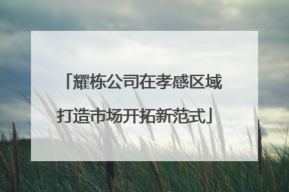 耀栋公司在孝感区域打造市场开拓新范式