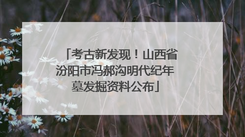 考古新发现！山西省汾阳市冯郝沟明代纪年墓发掘资料公布