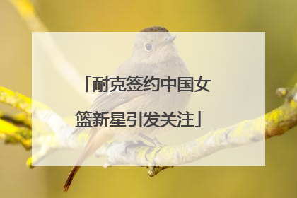 耐克签约中国女篮新星引发关注