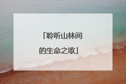 聆听山林间的生命之歌