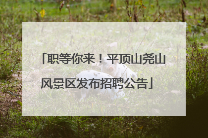 职等你来！平顶山尧山风景区发布招聘公告