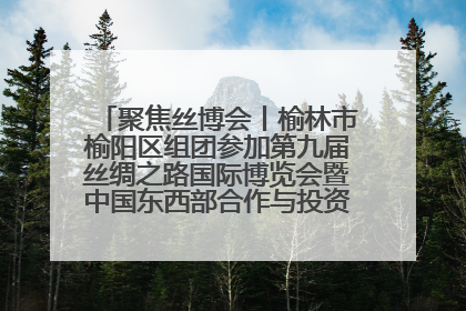 聚焦丝博会丨榆林市榆阳区组团参加第九届丝绸之路国际博览会暨中国东西部合作与投资贸易洽谈会