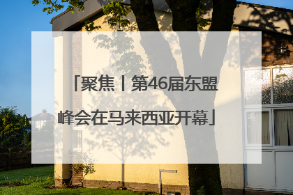 聚焦丨第46届东盟峰会在马来西亚开幕