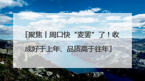 聚焦丨周口快“麦罢”了！收成好于上年、品质高于往年