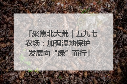聚焦北大荒｜五九七农场：加强湿地保护 发展向“绿”而行