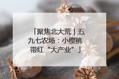 聚焦北大荒｜五九七农场：小樱桃带红“大产业”
