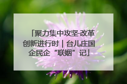 聚力集中攻坚·改革创新进行时｜台儿庄国企民企“联姻”记