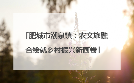 肥城市潮泉镇：农文旅融合绘就乡村振兴新画卷